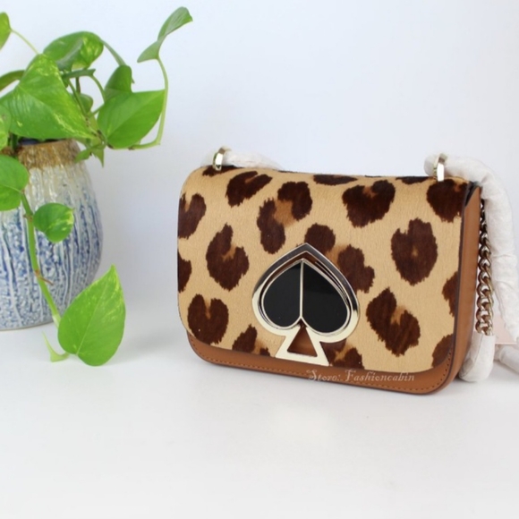 Current ISO - Picture 3 of 8